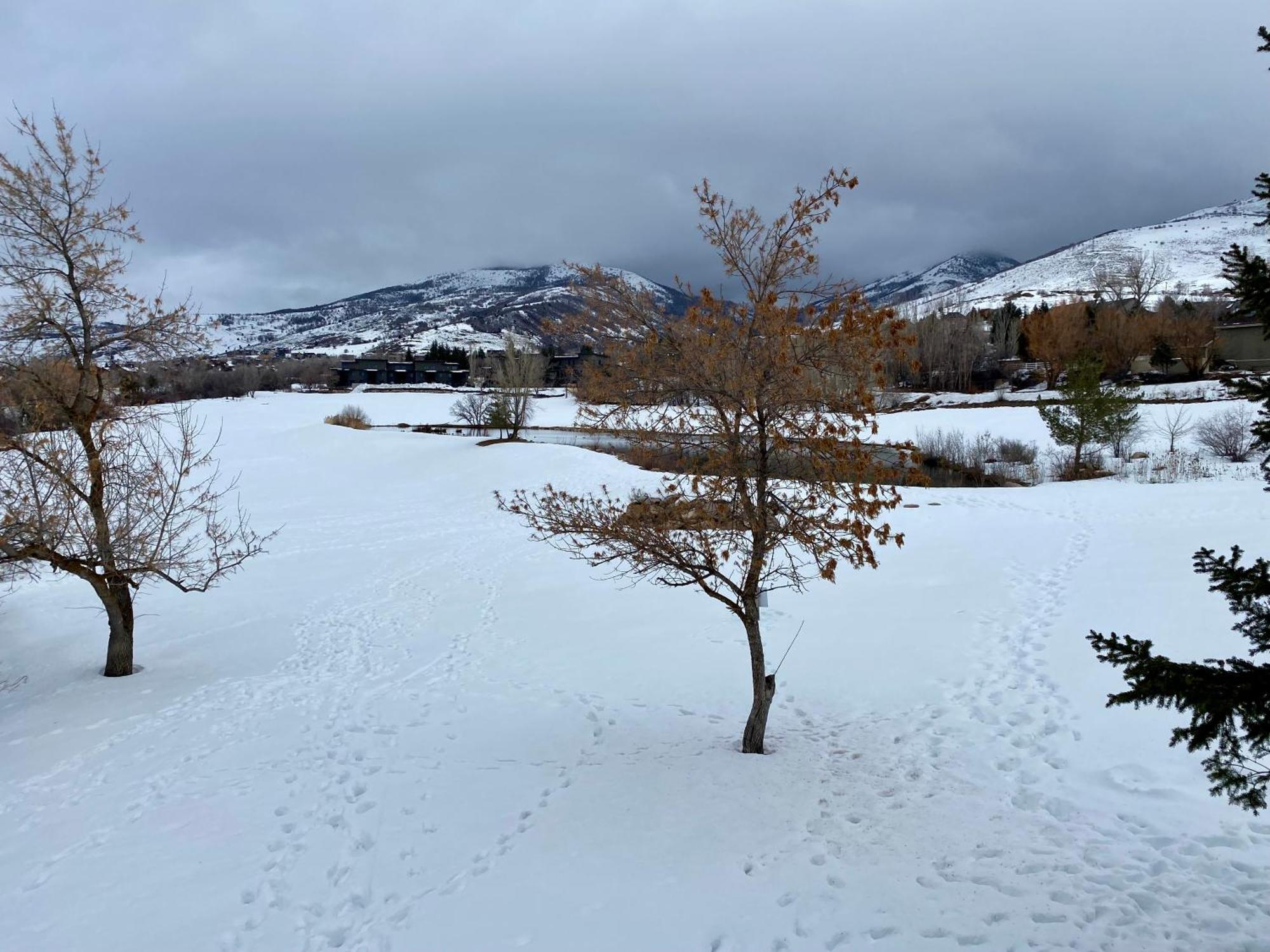 Wolf Creek Lodge Condo In Eden, Ut - Relaxing Mountain Retreat Luaran gambar