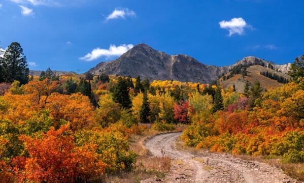 Wolf Creek Lodge Condo In Eden, Ut - Relaxing Mountain Retreat Luaran gambar